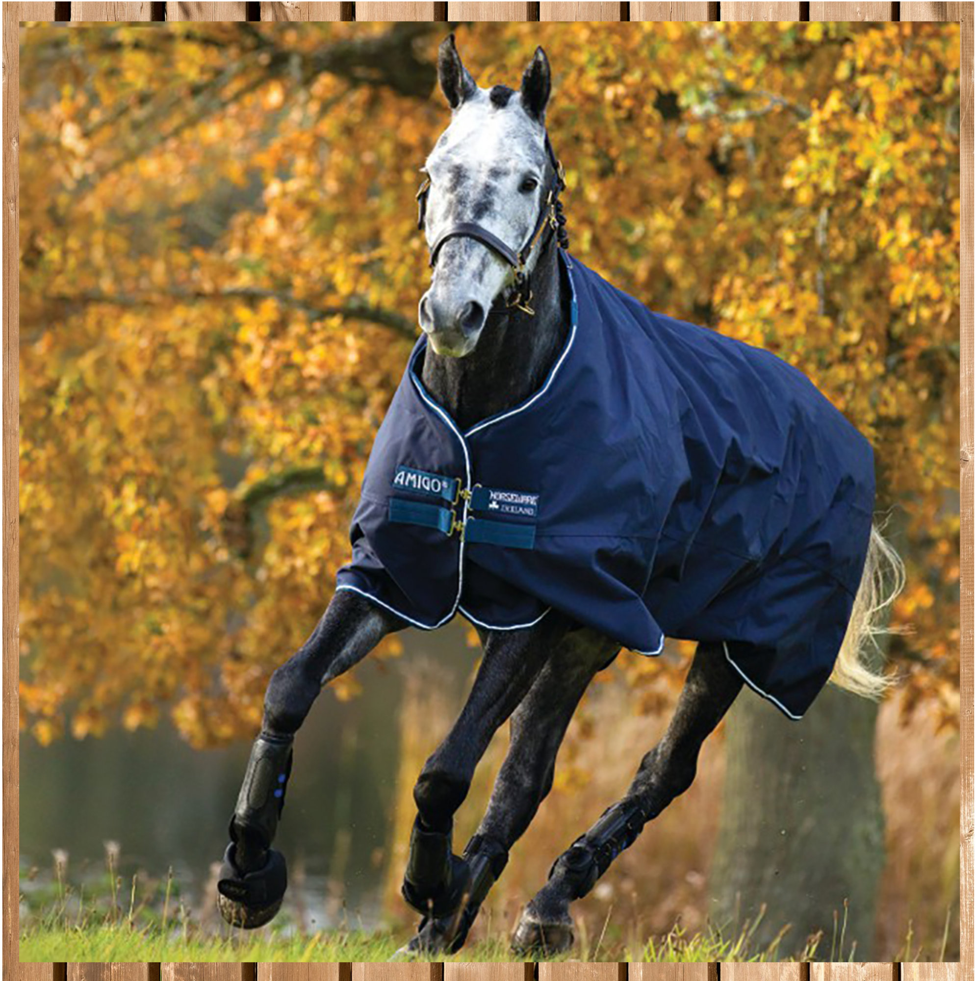 Horseware Amigo Bravo Heavy, 400g, navy, 1